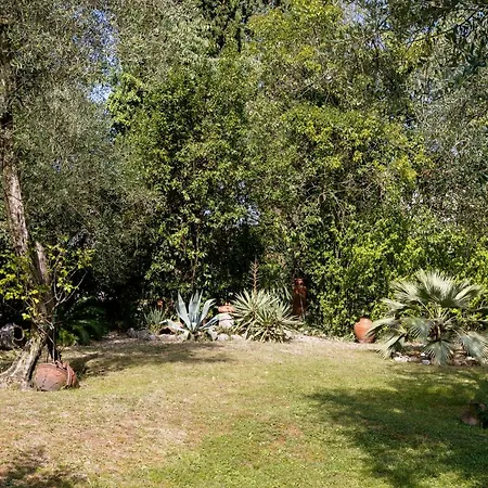 Rohan Villa Malcesine